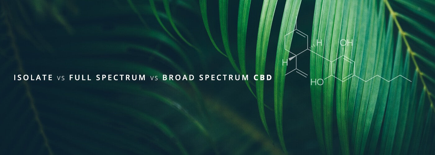 Isolate vs Full Spectrum vs Broad Spectrum CBD