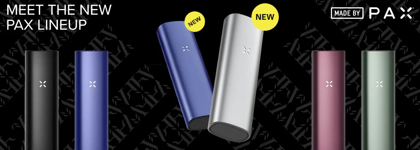 Vape Dry Herbs With The New PAX Dry Herb Vaporizers
