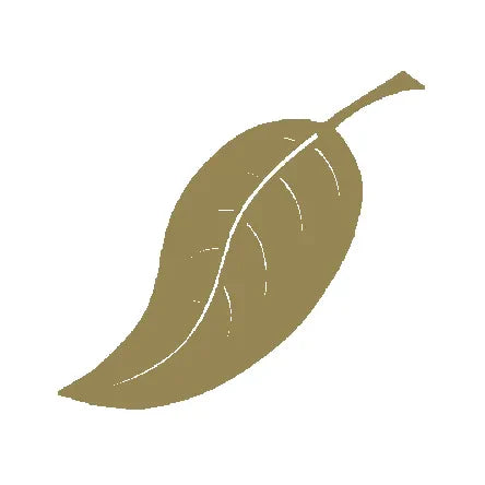 Tobacco Flavoured Vapes, Pods & E-Liquids