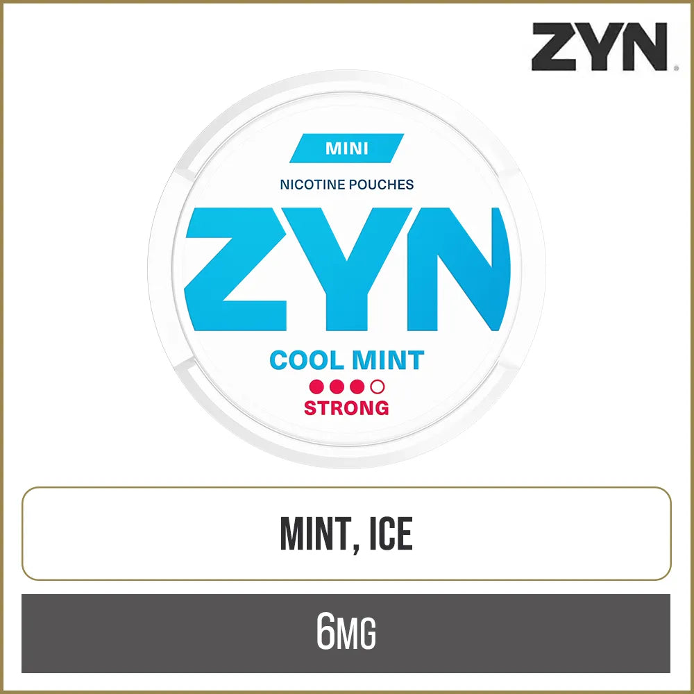 Buy ZYN Mini Dry Cool Mint 6 mg