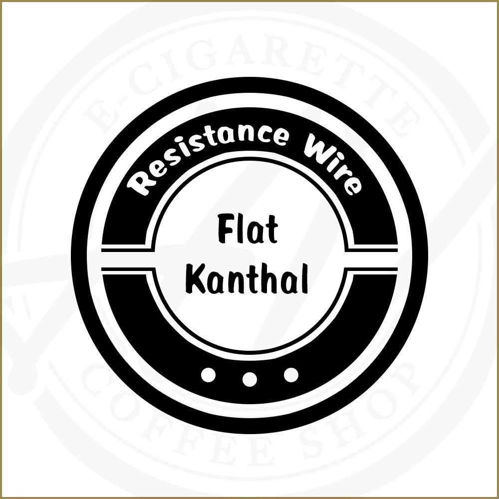 Wires - Flat Wire